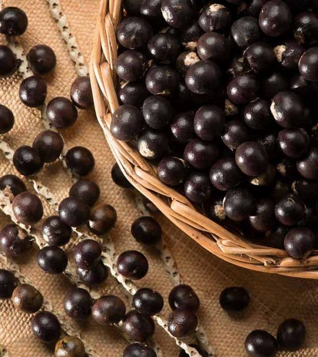 Frutos de açaí no cacho