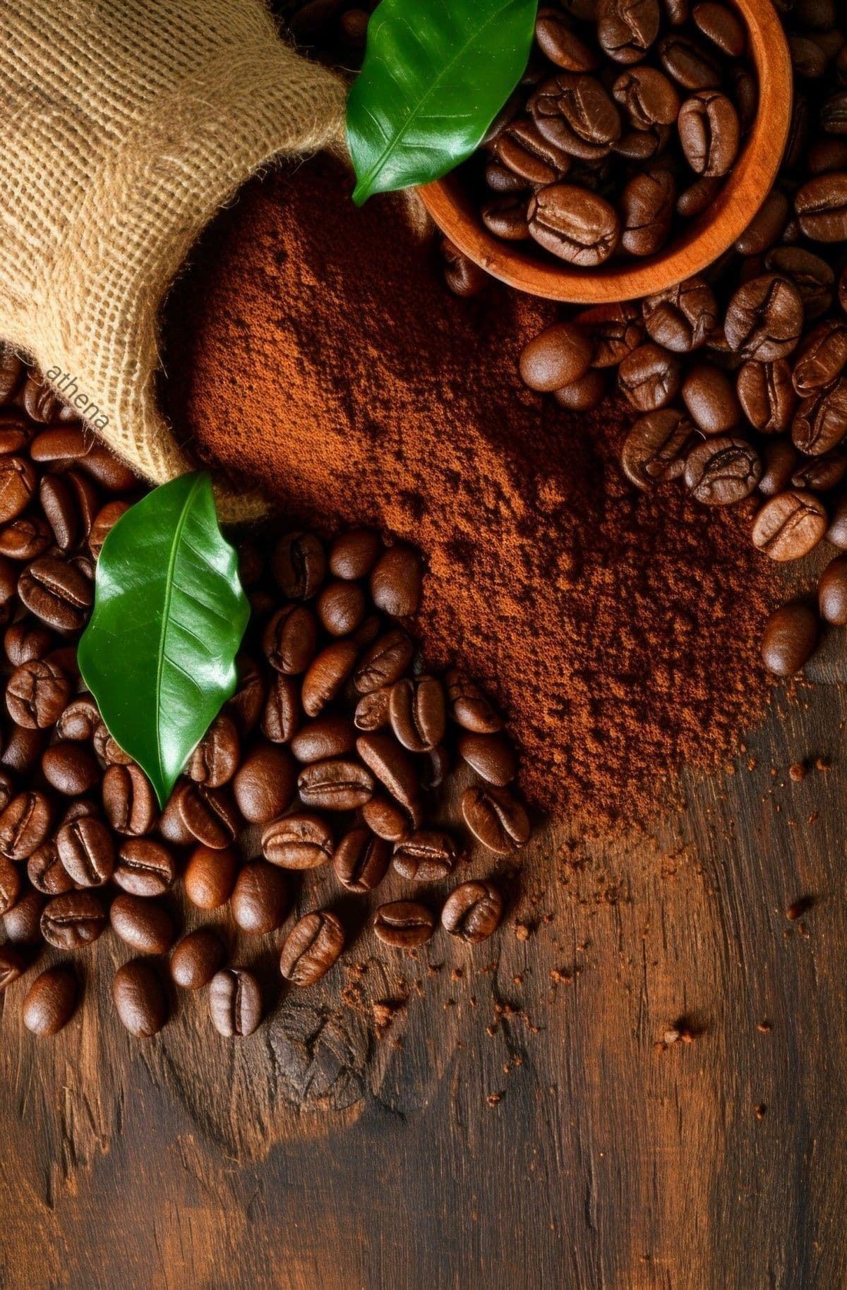 Grãos de café torrados
